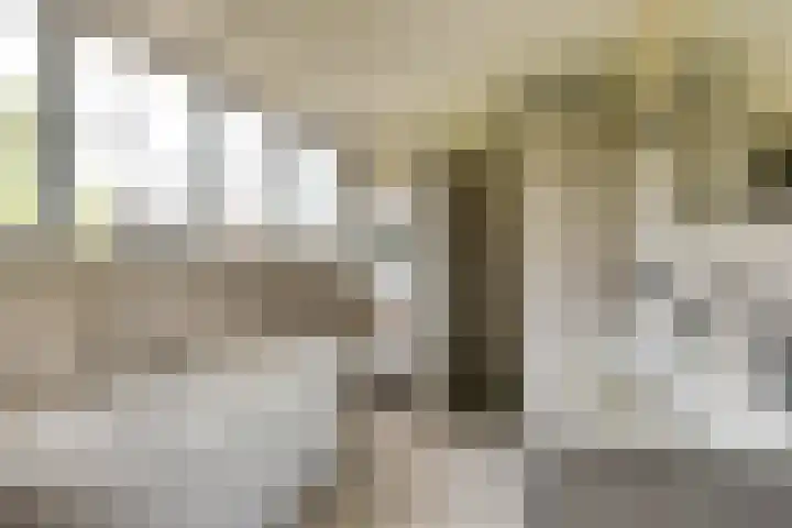Smidsvuurke 14 Veldhoven thumbnail 31