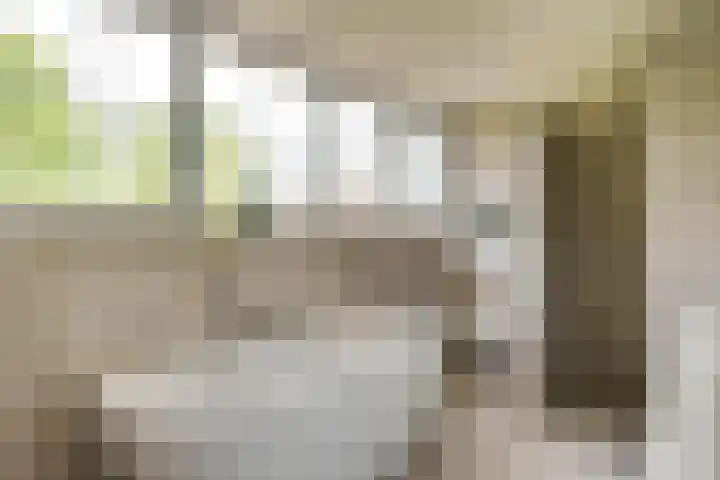 Smidsvuurke 14 Veldhoven thumbnail 32