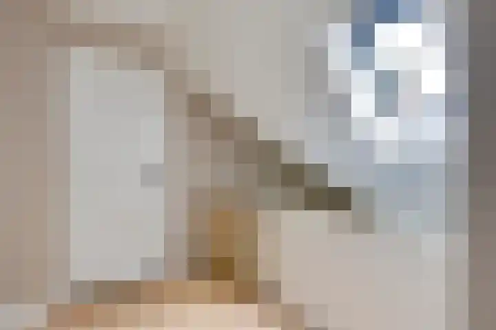Smidsvuurke 14 Veldhoven thumbnail 35