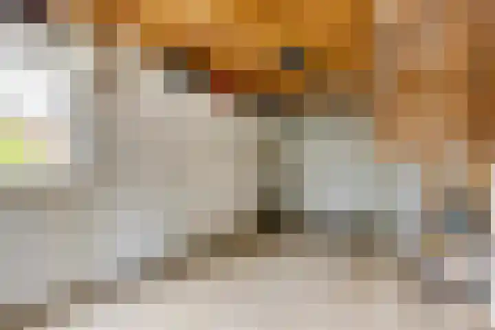 Smidsvuurke 14 Veldhoven thumbnail 36