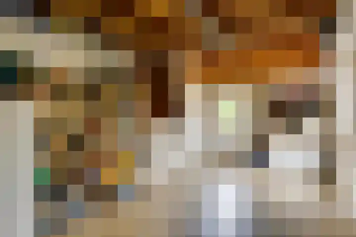 Smidsvuurke 14 Veldhoven thumbnail 37