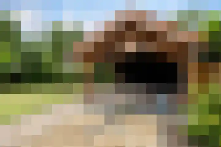 Smidsvuurke 14 Veldhoven thumbnail 41