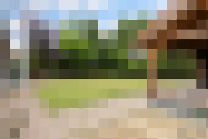 Smidsvuurke 14 Veldhoven thumbnail 42