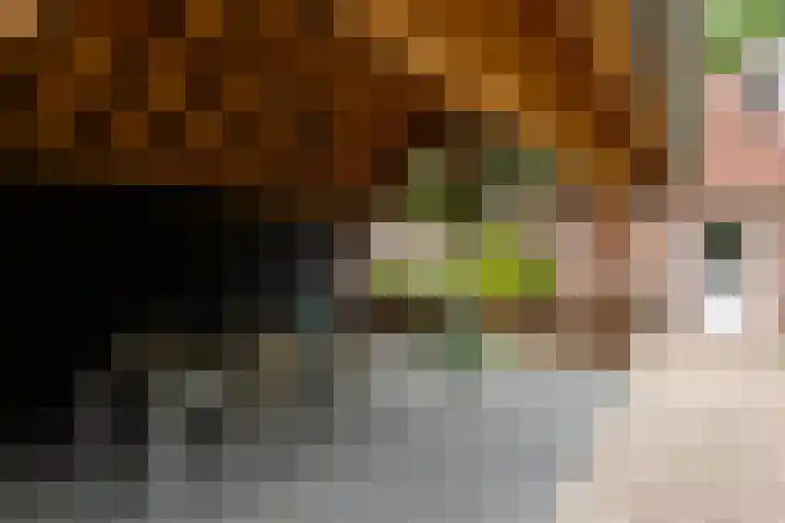 Smidsvuurke 14 Veldhoven thumbnail 43