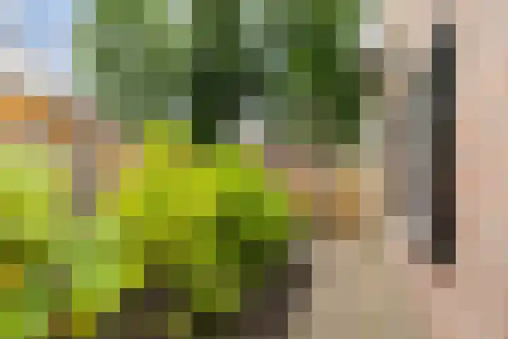 Smidsvuurke 14 Veldhoven thumbnail 45