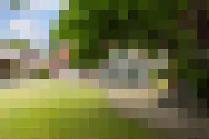 Smidsvuurke 14 Veldhoven thumbnail 48