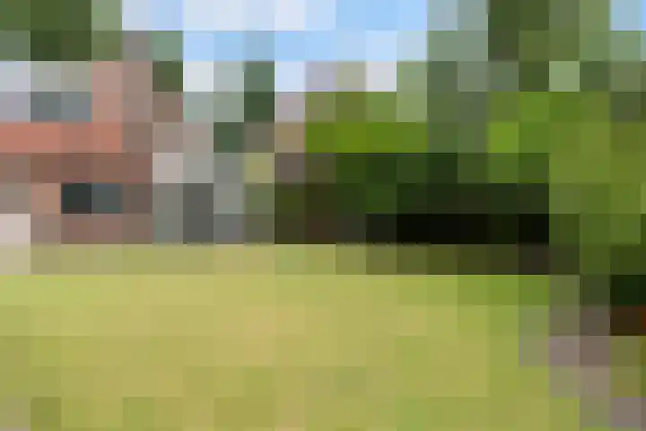 Smidsvuurke 14 Veldhoven thumbnail 49