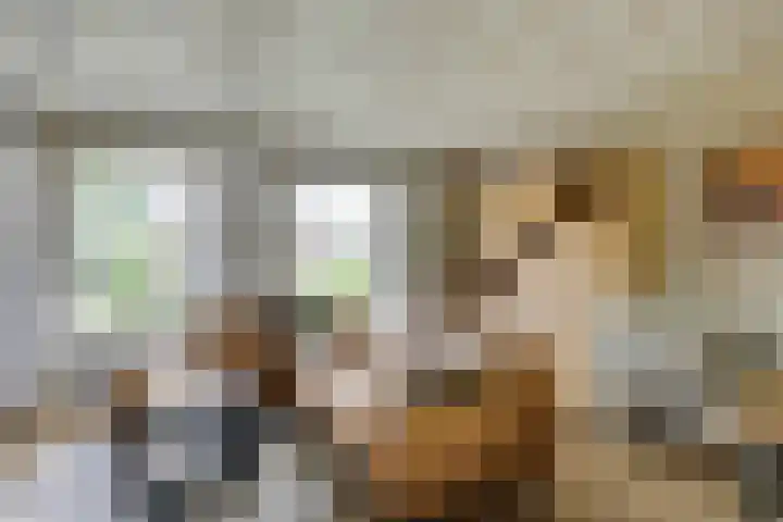 Smidsvuurke 14 Veldhoven thumbnail 5