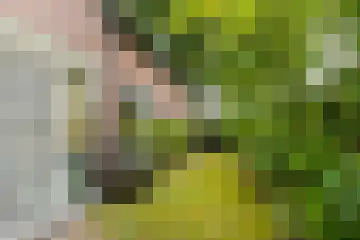 Smidsvuurke 14 Veldhoven thumbnail 51