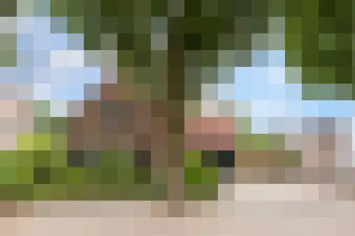 Smidsvuurke 14 Veldhoven thumbnail 53