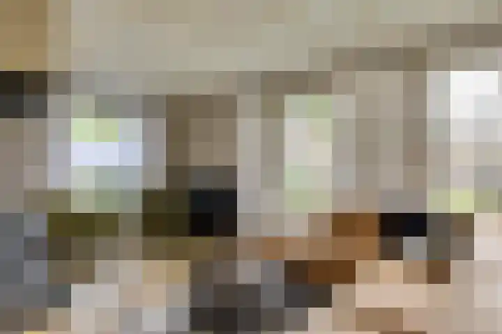 Smidsvuurke 14 Veldhoven thumbnail 6