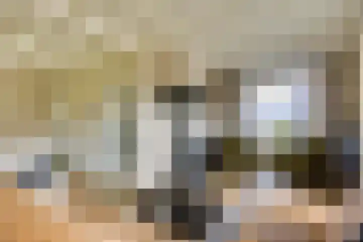 Smidsvuurke 14 Veldhoven thumbnail 7