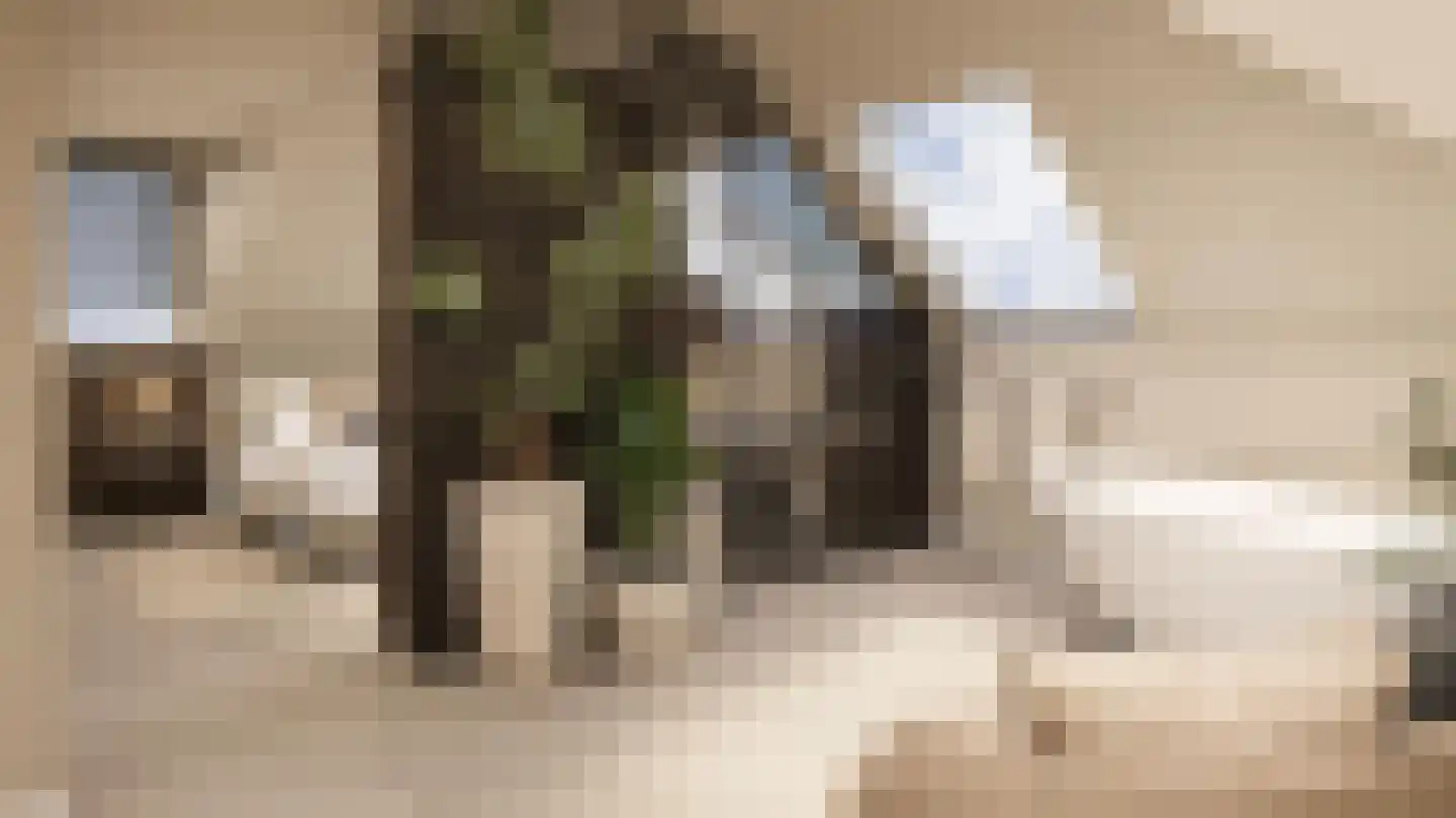 Smidswal 11 Terneuzen thumbnail 14