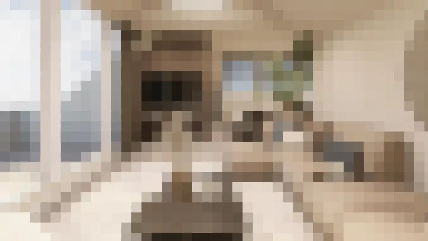 Smidswal 11 Terneuzen thumbnail 4
