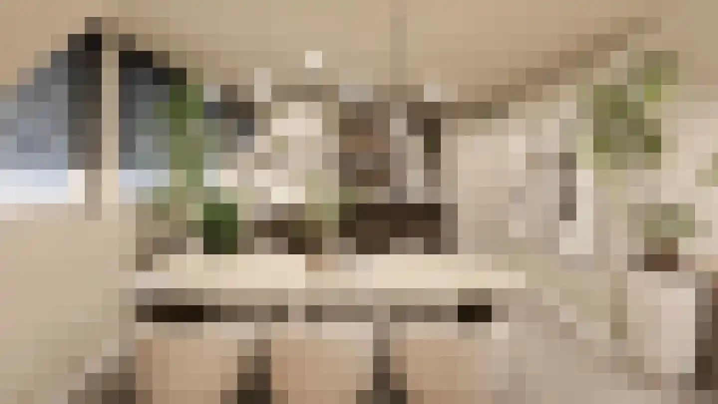 Smidswal 11 Terneuzen thumbnail 6