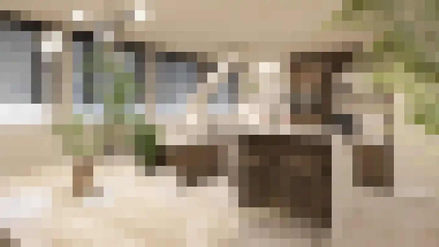 Smidswal 11 Terneuzen thumbnail 7