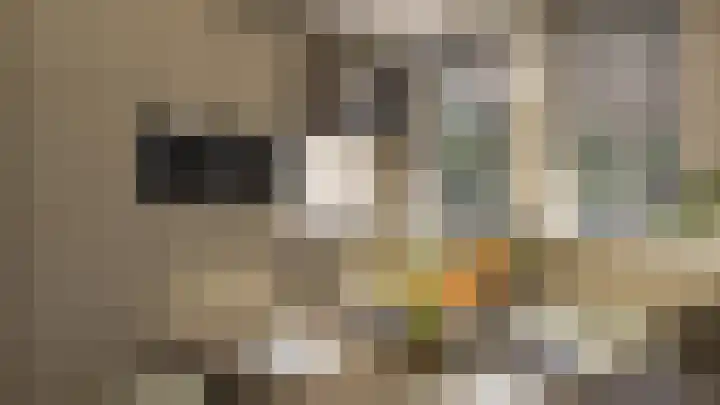 Smidswal 3 Terneuzen thumbnail 4