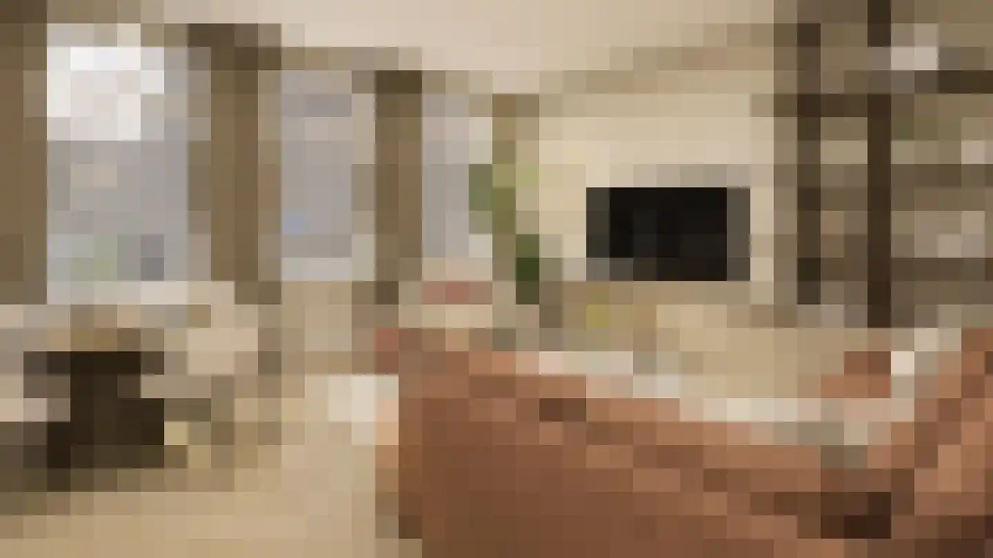 Smidswal 5 Terneuzen thumbnail 4