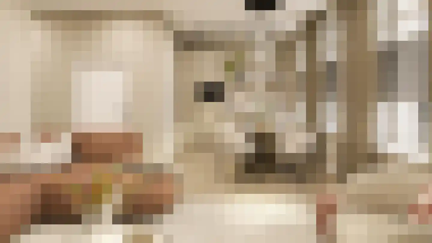 Smidswal 5 Terneuzen thumbnail 6