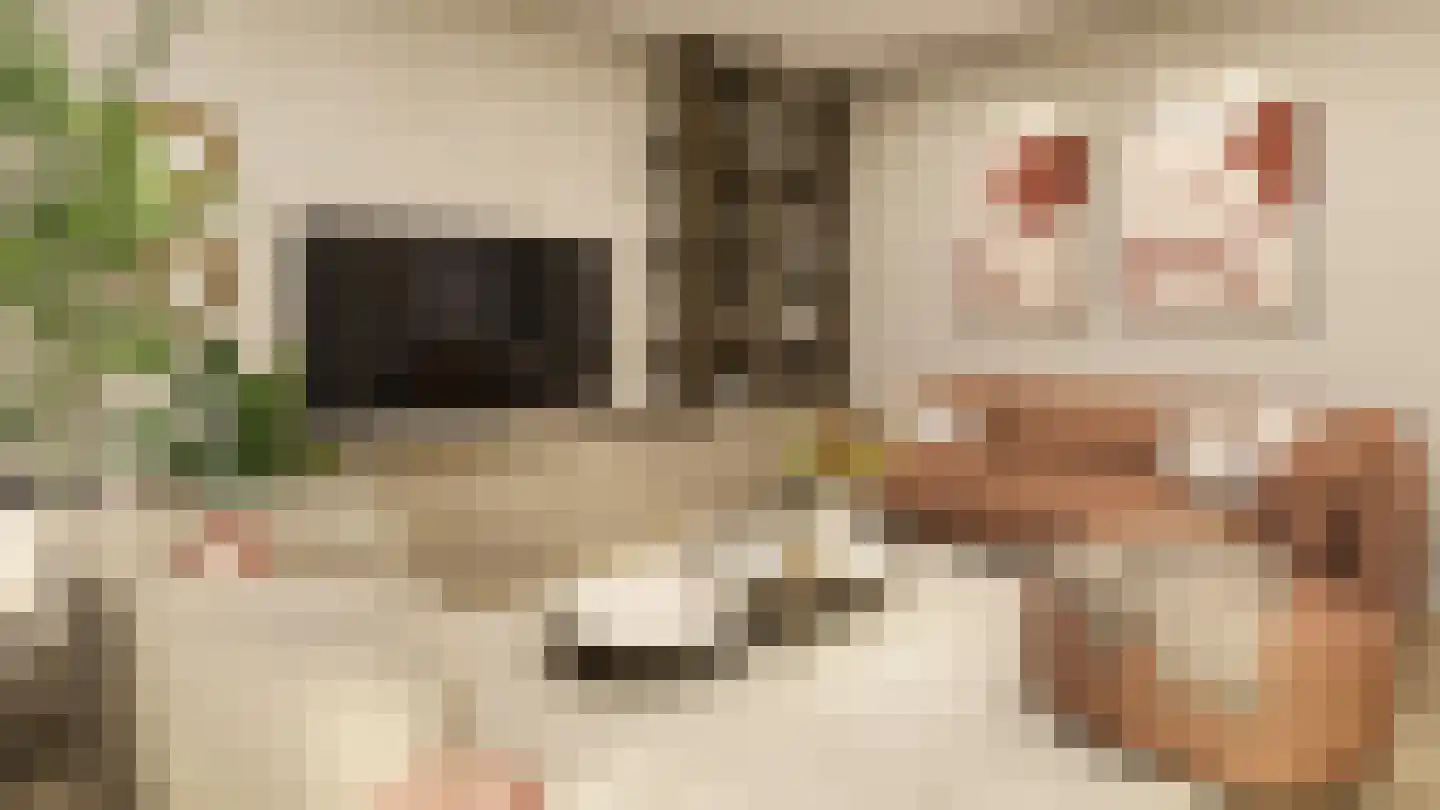 Smidswal 5 Terneuzen thumbnail 8