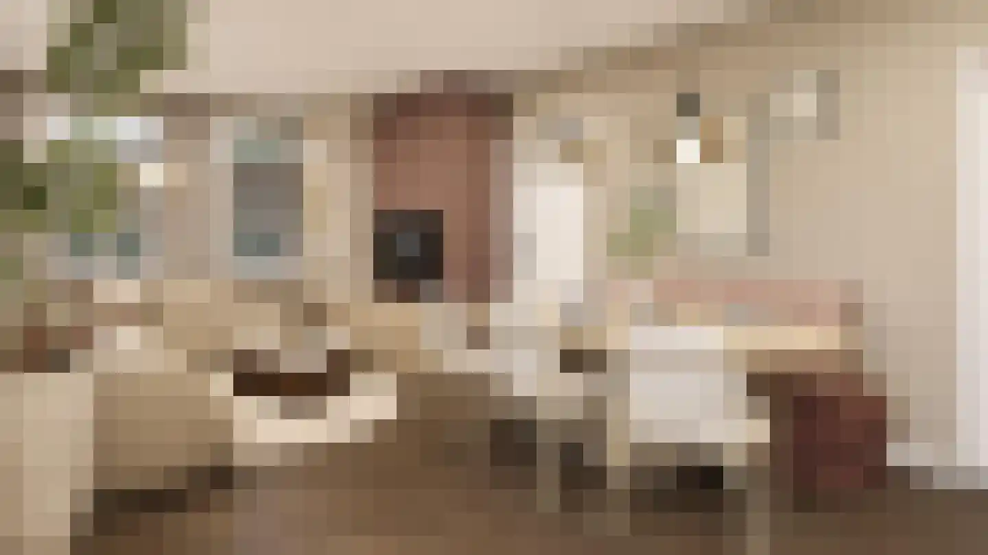 Smidswal 7 Terneuzen thumbnail 6