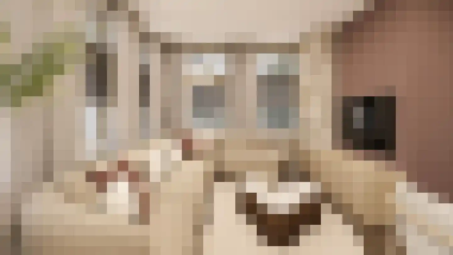 Smidswal 7 Terneuzen thumbnail 7