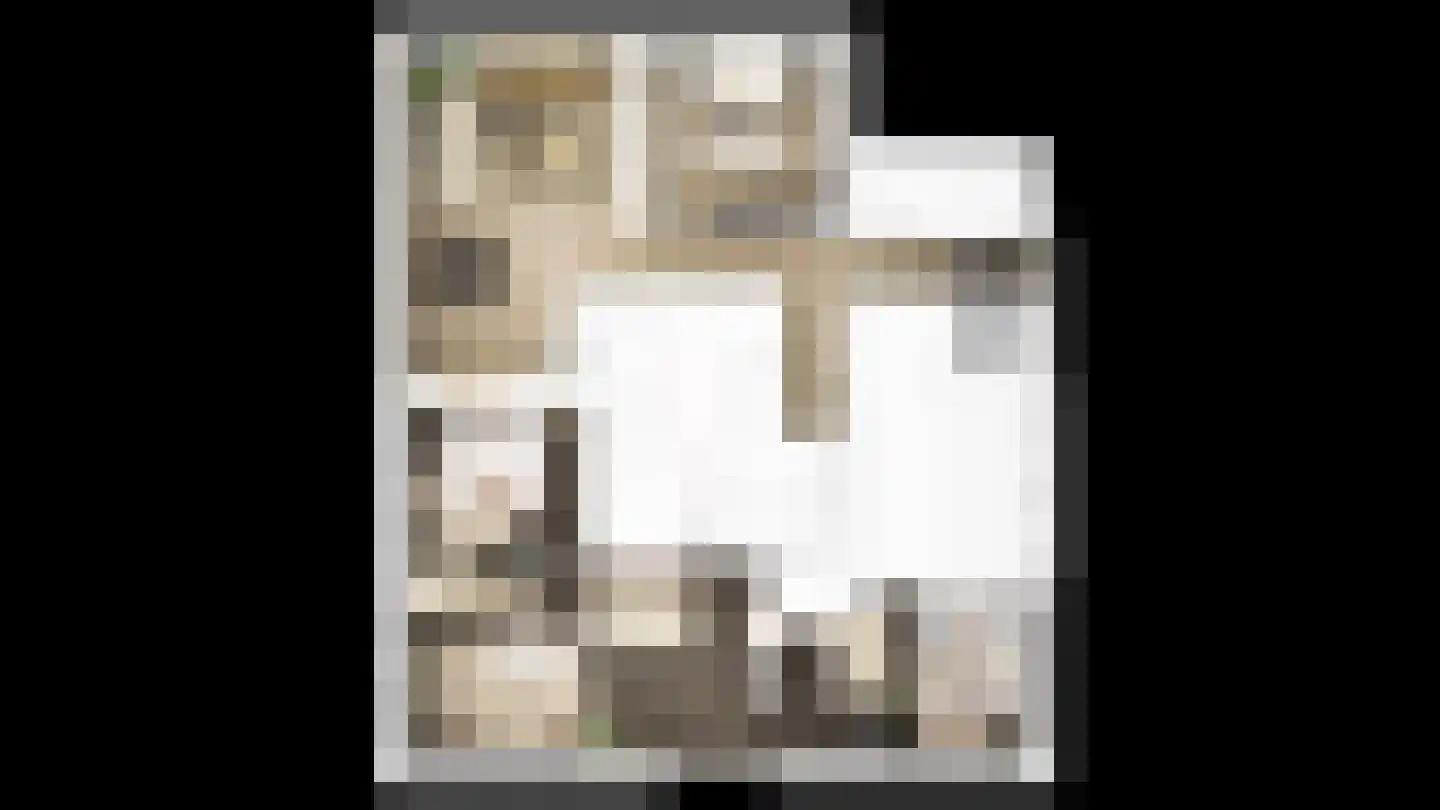 Smidswal 9 Terneuzen thumbnail 12
