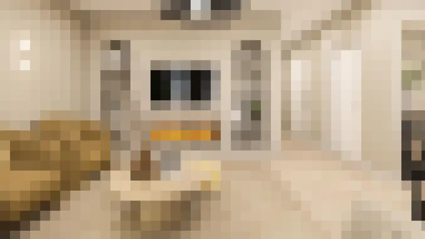Smidswal 9 Terneuzen thumbnail 6