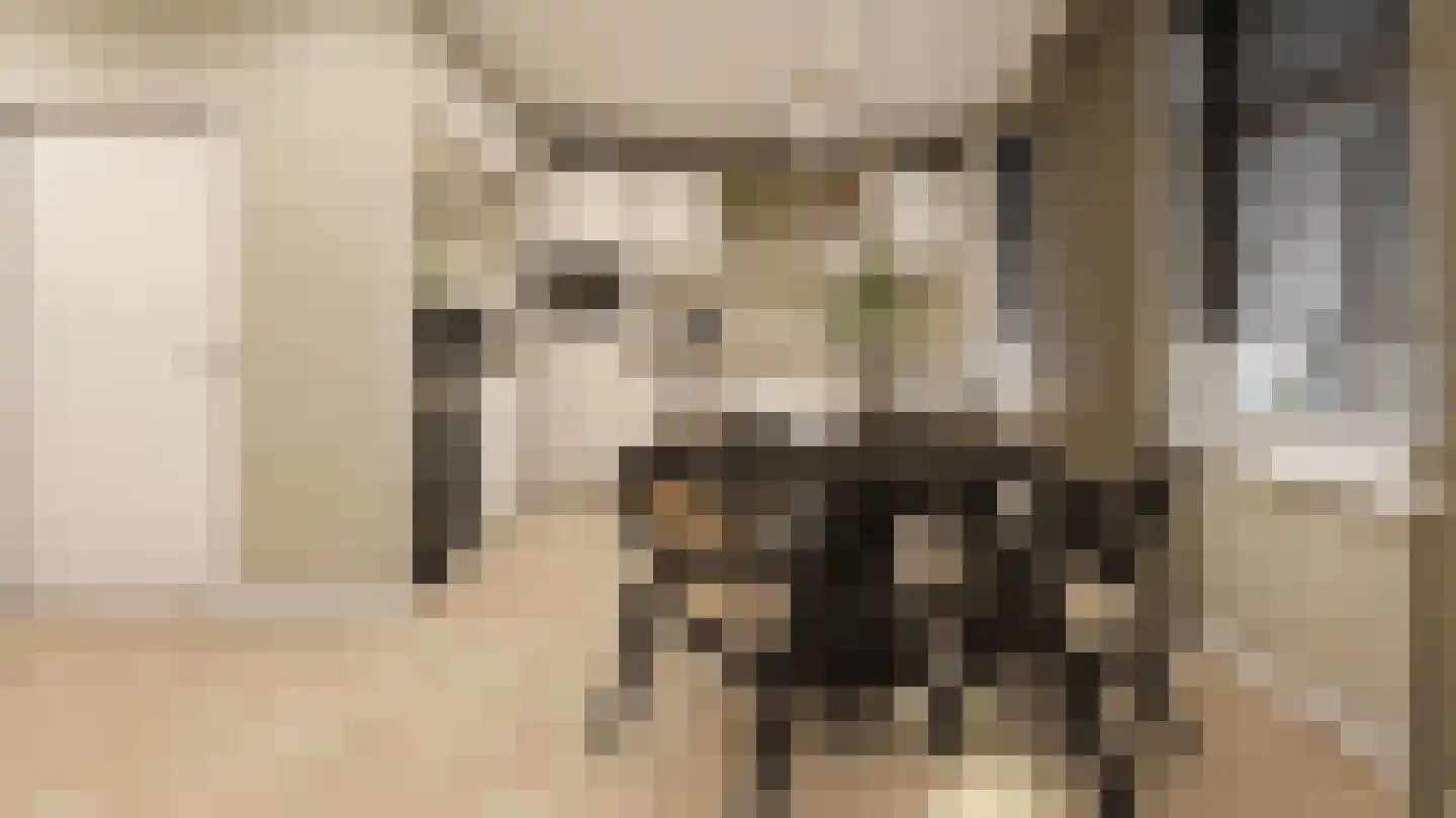 Smidswal 9 Terneuzen thumbnail 8