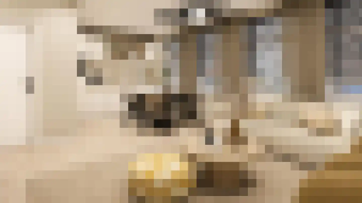 Smidswal 9 Terneuzen thumbnail 9