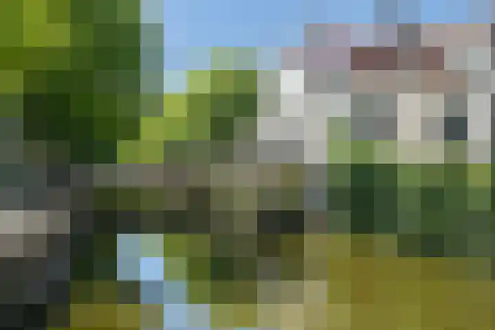 Smidswater 3 A Den Haag thumbnail 19