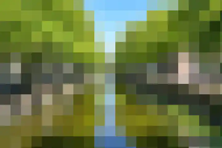 Smidswater 3 A Den Haag thumbnail 21