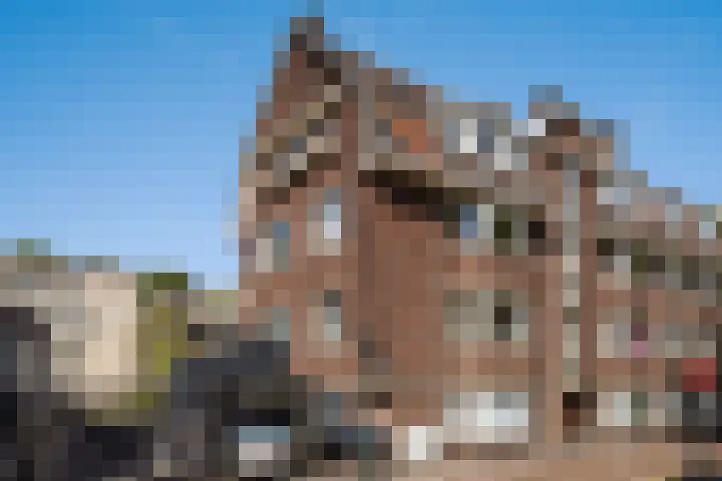 Smidswater 3 B Den Haag thumbnail 10
