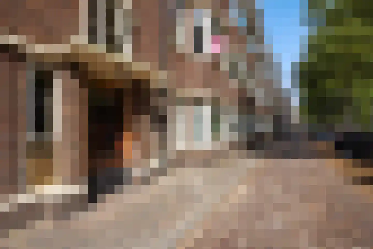 Smidswater 3 B Den Haag thumbnail 13