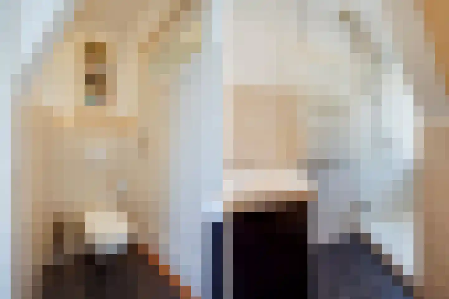 Smidswater 3 B Den Haag thumbnail 5