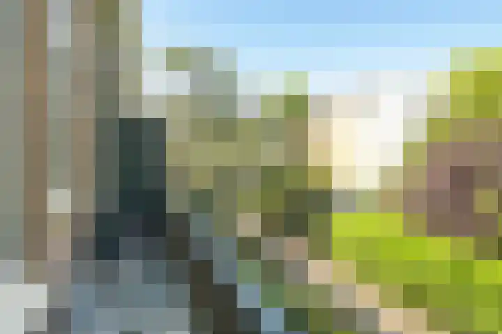 Smidswater 7 E Den Haag thumbnail 14