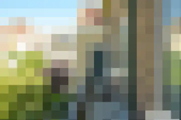 Smidswater 7 E Den Haag thumbnail 15