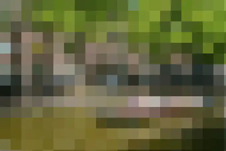 Smidswater 7 E Den Haag thumbnail 16