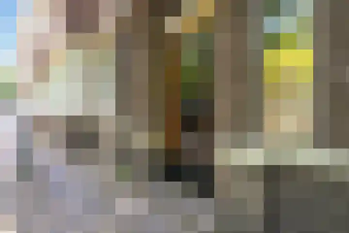 Smidswater 7 E Den Haag thumbnail 17