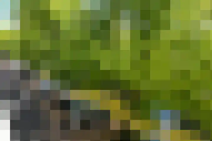 Smidswater 7 E Den Haag thumbnail 18