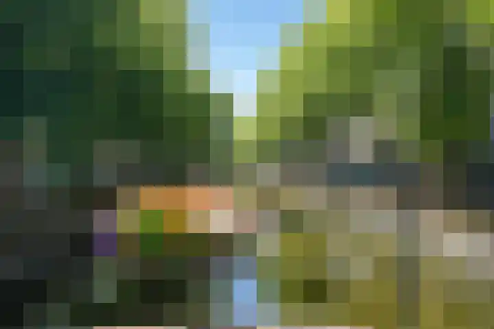 Smidswater 7 E Den Haag thumbnail 20