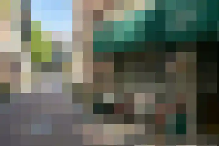 Smidswater 7 E Den Haag thumbnail 21