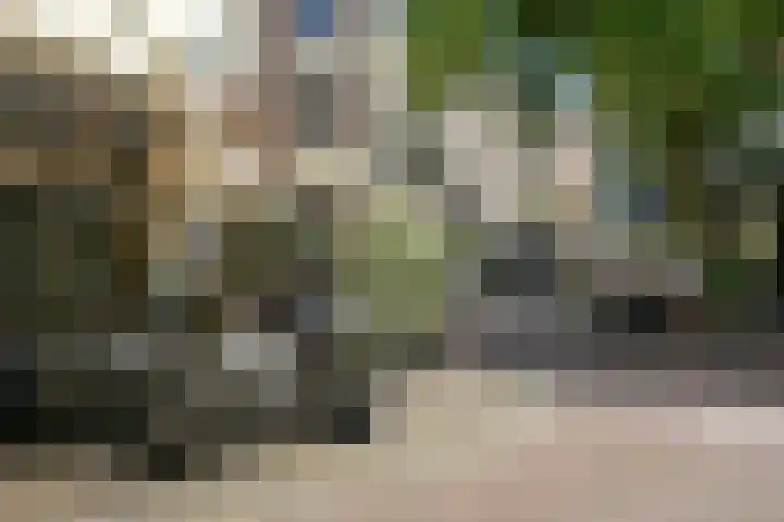 Smidswater 7 E Den Haag thumbnail 23
