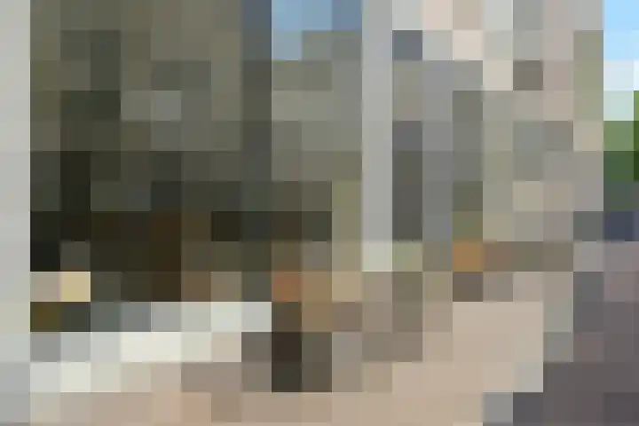 Smidswater 7 E Den Haag thumbnail 24