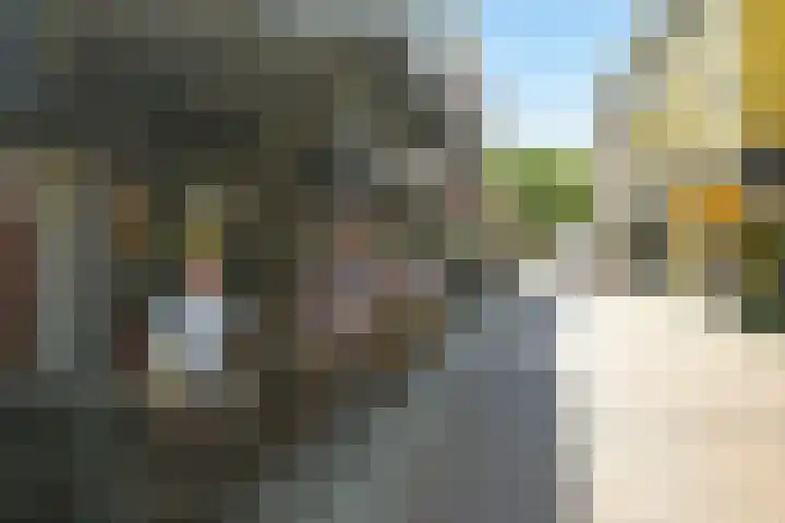 Smidswater 7 E Den Haag thumbnail 25