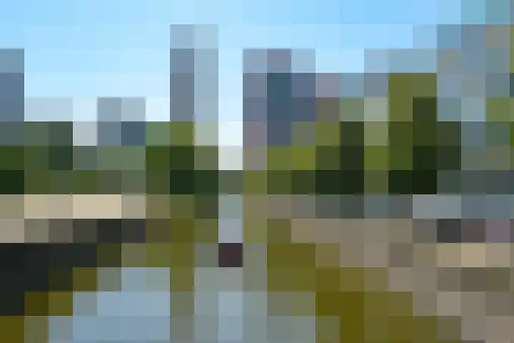 Smidswater 7 E Den Haag thumbnail 27
