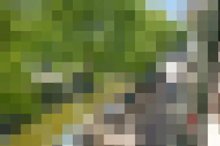 Smidswater 7 E Den Haag thumbnail 5