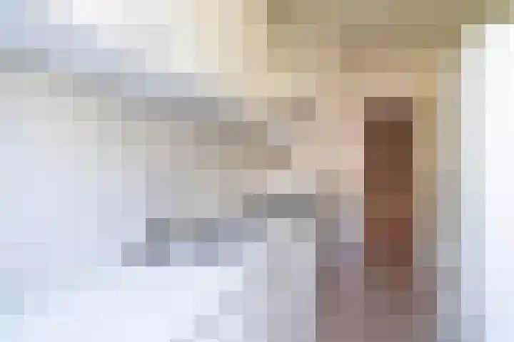 Smidswater 7 E Den Haag thumbnail 8
