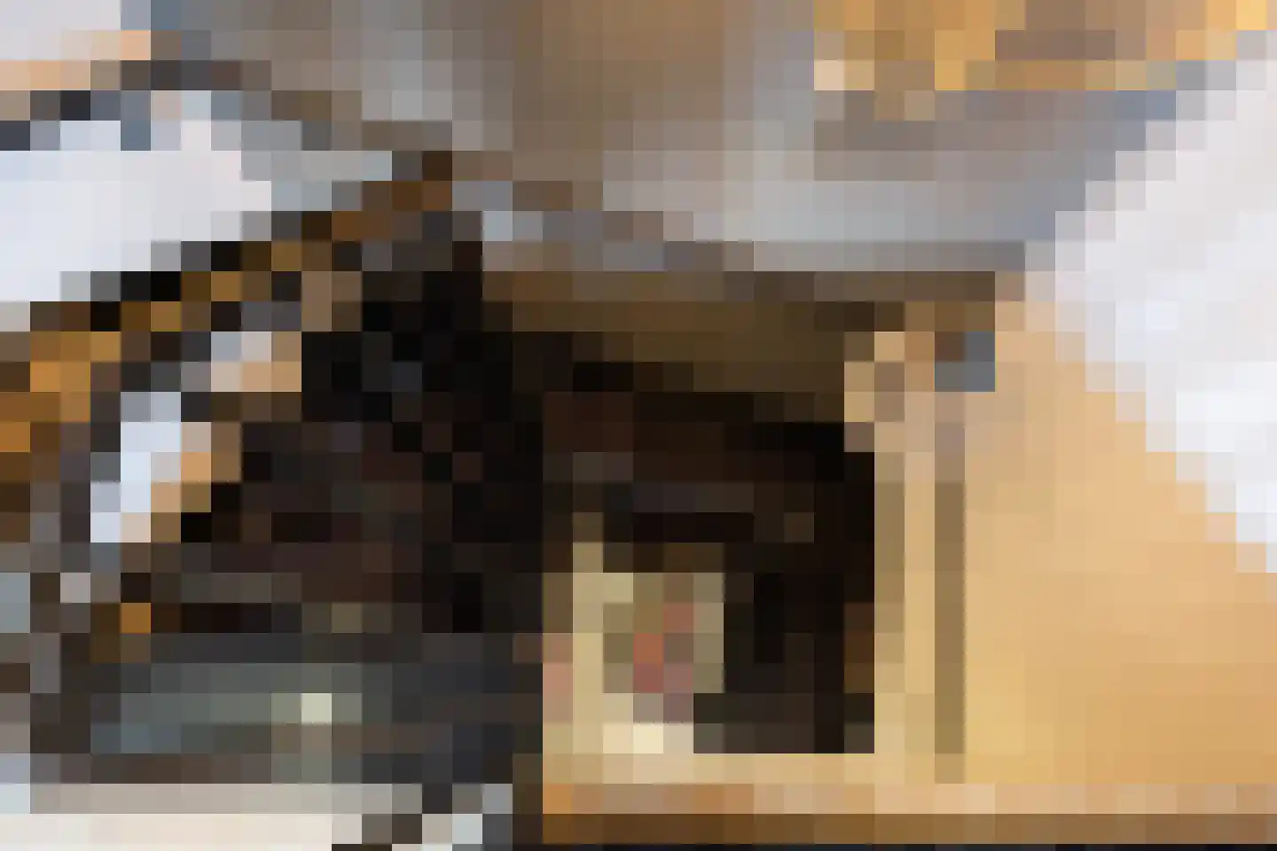 Smidsweg 1 B Westmaas thumbnail 13