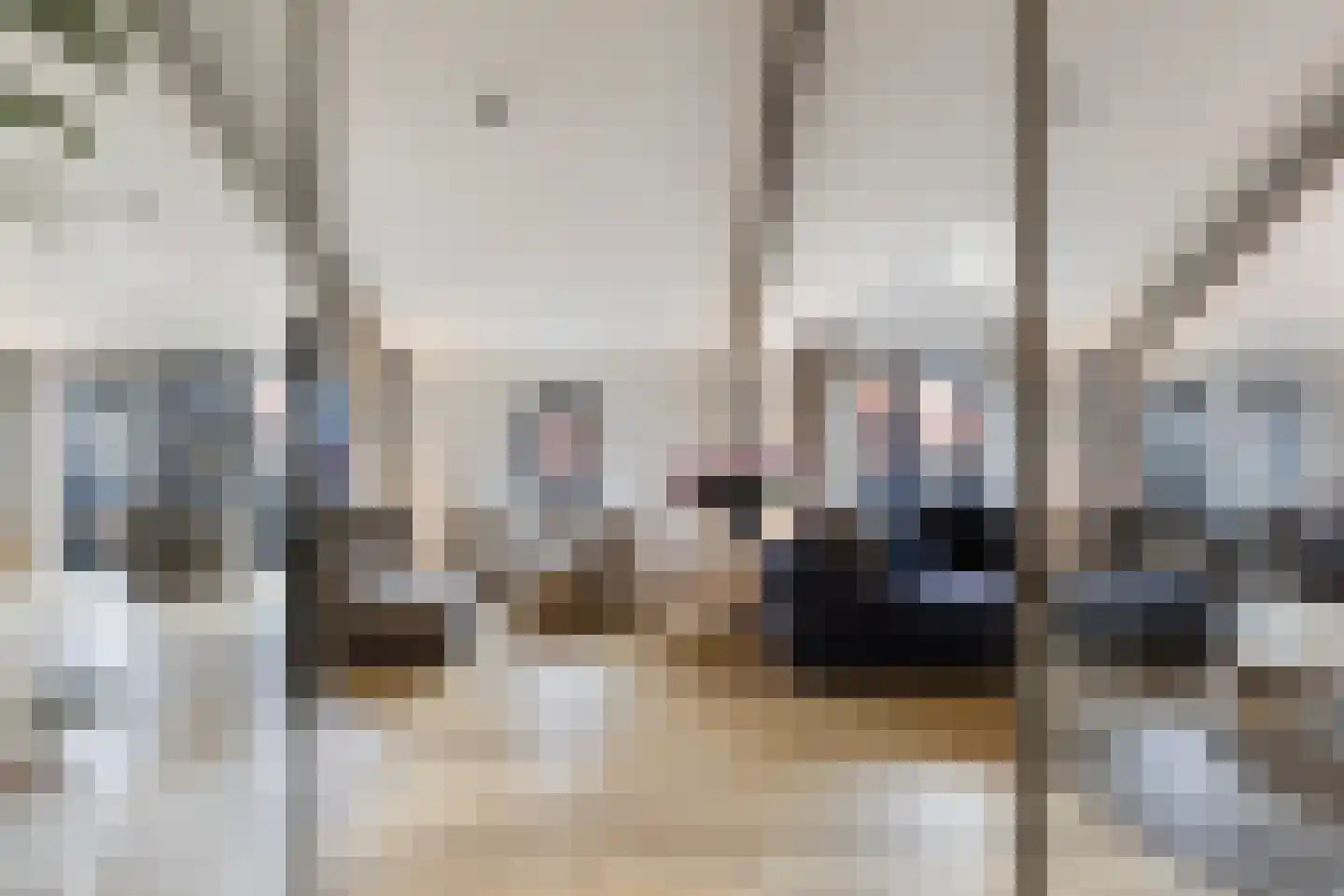 Smidsweg 1 B Westmaas thumbnail 16